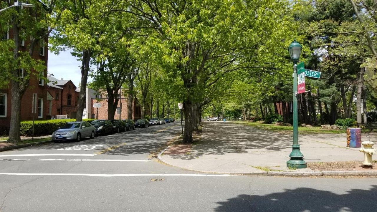 Lovely 2Br Apartment By Wooster Square- Great Neighborhood New Haven Exterior foto